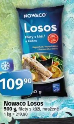COOP TIP NOWACO Losos nabídka