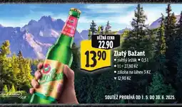 Albert Pivo zlatý bažant nabídka