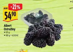 Albert Ostružiny nabídka