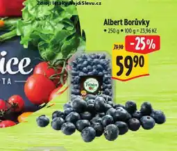 Albert Borůvky nabídka