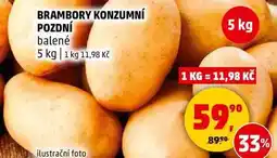 Penny Market BRAMBORY KONZUMNÍ POZDNÍ balené, 5 kg nabídka