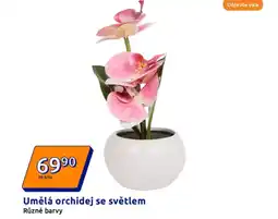Action Umělá orchidej se světlem nabídka