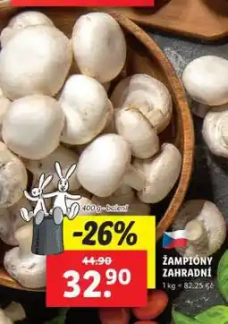 Lidl ŽAMPIONY ZAHRADNÍ nabídka