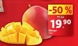 Lidl Mango nabídka