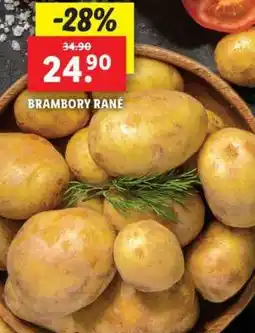 Lidl Brambory rané nabídka