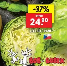 Lidl Zelí bílé rané nabídka