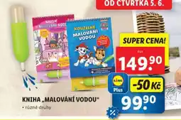 Lidl Kniha „Malování vodou“ nabídka