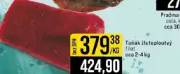 Jip Tuňák žlutoploutvý nabídka