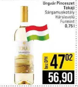 Jip Ungvár Pinceszet tokaji nabídka