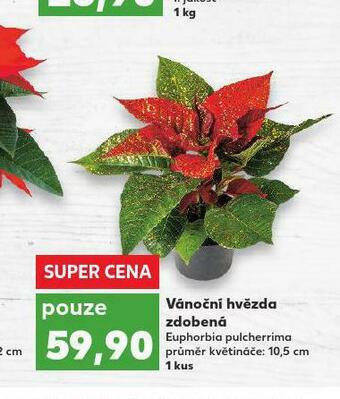 Kaufland Vánoční hvězda zdobená nabídka