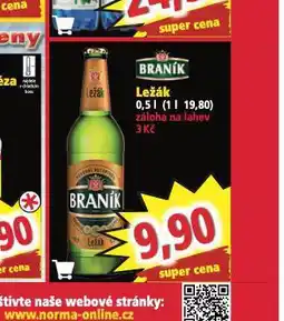 Norma Pivo braník ležák nabídka