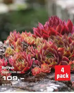Uni Hobby Netřesk nabídka