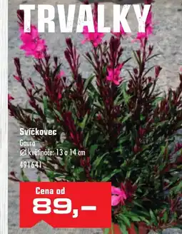 Uni Hobby Svíčkovec nabídka