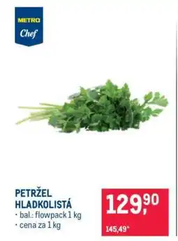 Makro Petržel hladkolistá nabídka