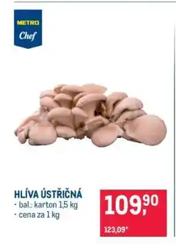 Makro Hlíva ústřičná nabídka