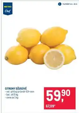 Makro Citrony džusové nabídka