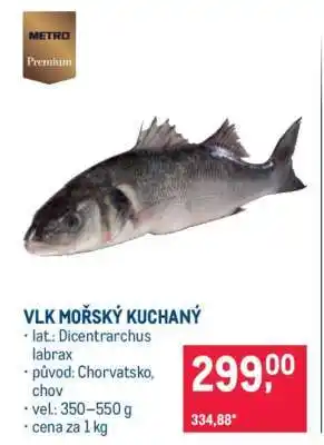 Makro Vlk mořský kuchaný nabídka