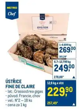 Makro Ústřice Fine de Claire nabídka