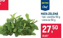 Makro Máta zelená nabídka