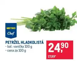 Makro Petržel hladkolistá nabídka