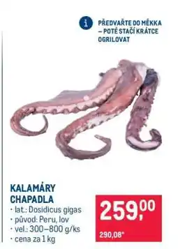 Makro Kalamáry chapadla nabídka