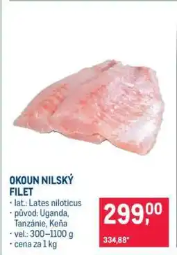 Makro Okoun nilský filet nabídka