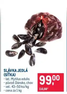 Makro Slávka jedlá (síťka) nabídka
