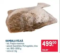 Makro Kambala velká nabídka