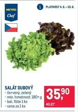 Makro Salát dubový nabídka