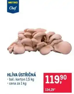 Makro Hlíva ústřičná nabídka