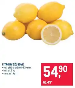Makro Citrony džusové nabídka