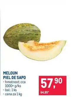 Makro Meloun piel de sapo nabídka