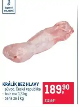 Makro Králík bez hlavy nabídka