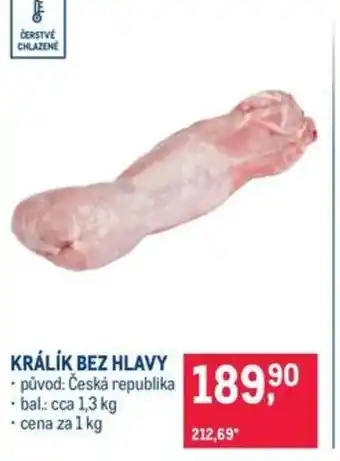 Makro Králík bez hlavy nabídka