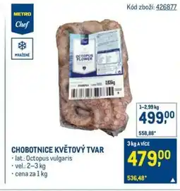 Makro Chobotnice květový tvar nabídka