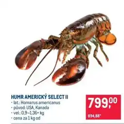 Makro Humr americký select II nabídka