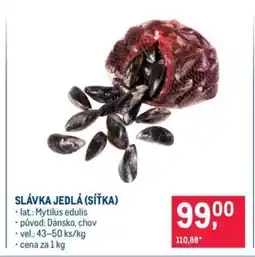 Makro Slávka jedlá (síťka) nabídka