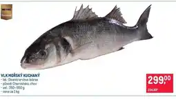 Makro Vlk mořský kuchaný nabídka
