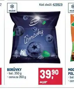 Makro Borůvky nabídka