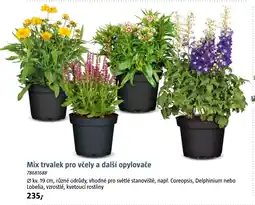 Bauhaus Mix trvalek pro včely a další opylovače nabídka