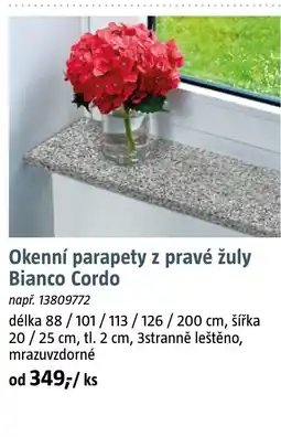 Bauhaus Okenní parapety z pravé žuly Bianco Cordo nabídka