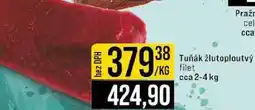 Jip Tuňák žlutoploutvý filet cca 2-4 kg nabídka