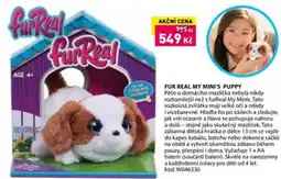 Wiky Fur real my mini's puppy nabídka