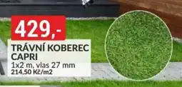 Baumax Trávní koberec capri nabídka