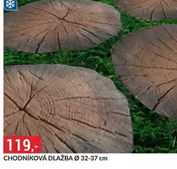 Baumax Chodníková dlažba nabídka