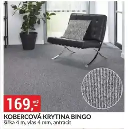 Baumax Kobercová krytina Bingo nabídka