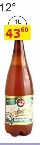BENE Nápoje Pivovar Kácov Hubertus 12° Pivo světlý ležák 1l nabídka