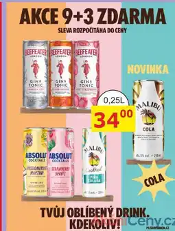 BENE Nápoje BEEFEATER LONDON DRY GIN A TONIC 0,25l, míchaný nápoj nabídka