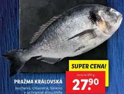Lidl PRAŽMA KRÁLOVSKÁ, cena za 100 g nabídka