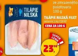 Penny Market TILÁPIE NILSKÁ FILET, 100 g nabídka